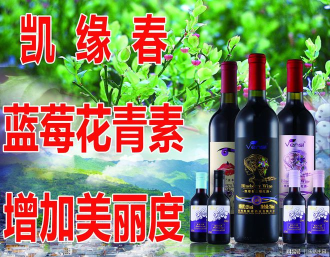 凱緣春藍(lán)莓酒搶灘海南自貿(mào)港 酒業(yè)進(jìn)出口新機(jī)遇與市場布局